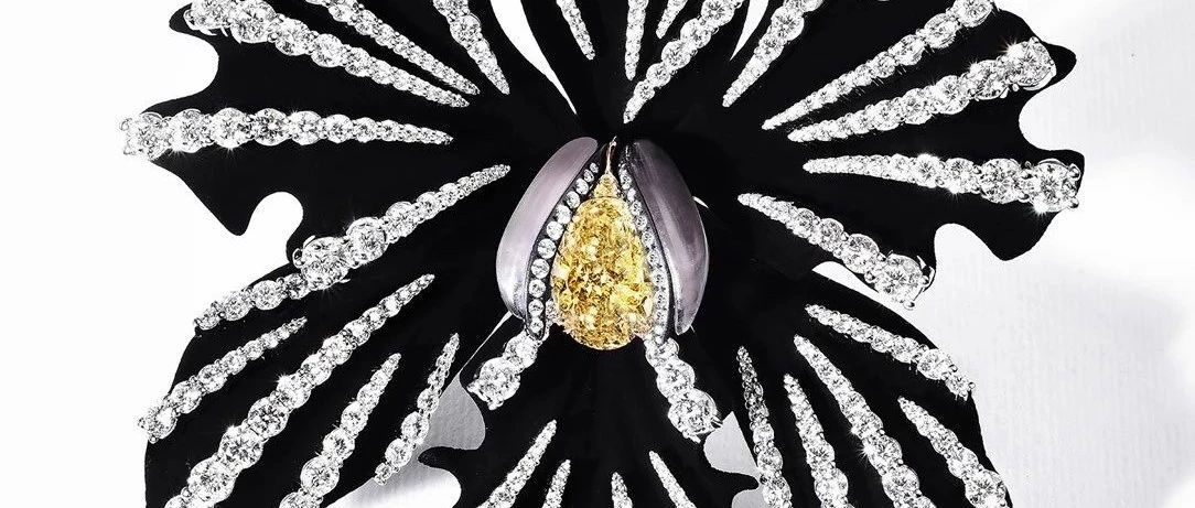 2025年 Couture Design Awards 珠宝设计奖获奖作品
