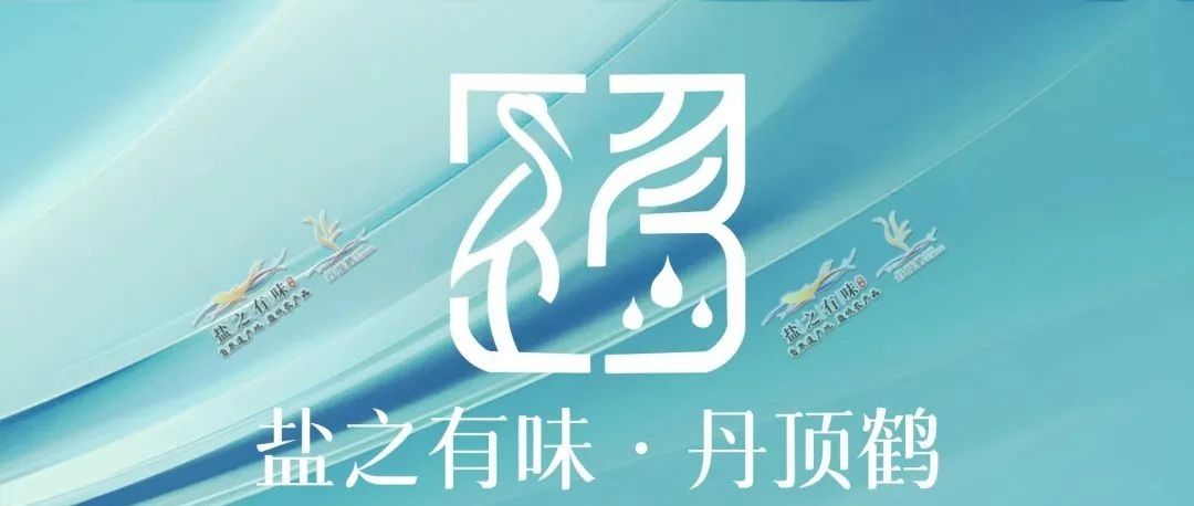 盐之有味·丹顶鹤 | 品牌VI创意设计大赛入选作品公示