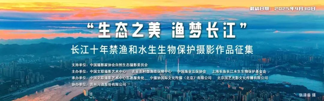 2025“生态之美 渔梦长江”——长江十年禁渔和水生生物保护摄影作品征集启动